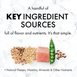 Nutro SO SIMPLE Adult Chicken & Rice Recipe Natural Dry Dog Food -Cozy Paws 366847 PT4. AC SS1800 V1702666771