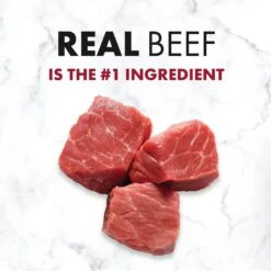 Nutro SO SIMPLE Adult Beef & Rice Recipe Natural Dry Dog Food -Cozy Paws 366852 PT2. AC SS1800 V1702666794