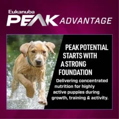 Eukanuba Premium Performance Pro Puppy Dry Dog Food 13 Eukanuba Premium Performance Pro Puppy Dry Dog Food -Cozy Paws 367115 PT3. AC SS1800 V1661528755