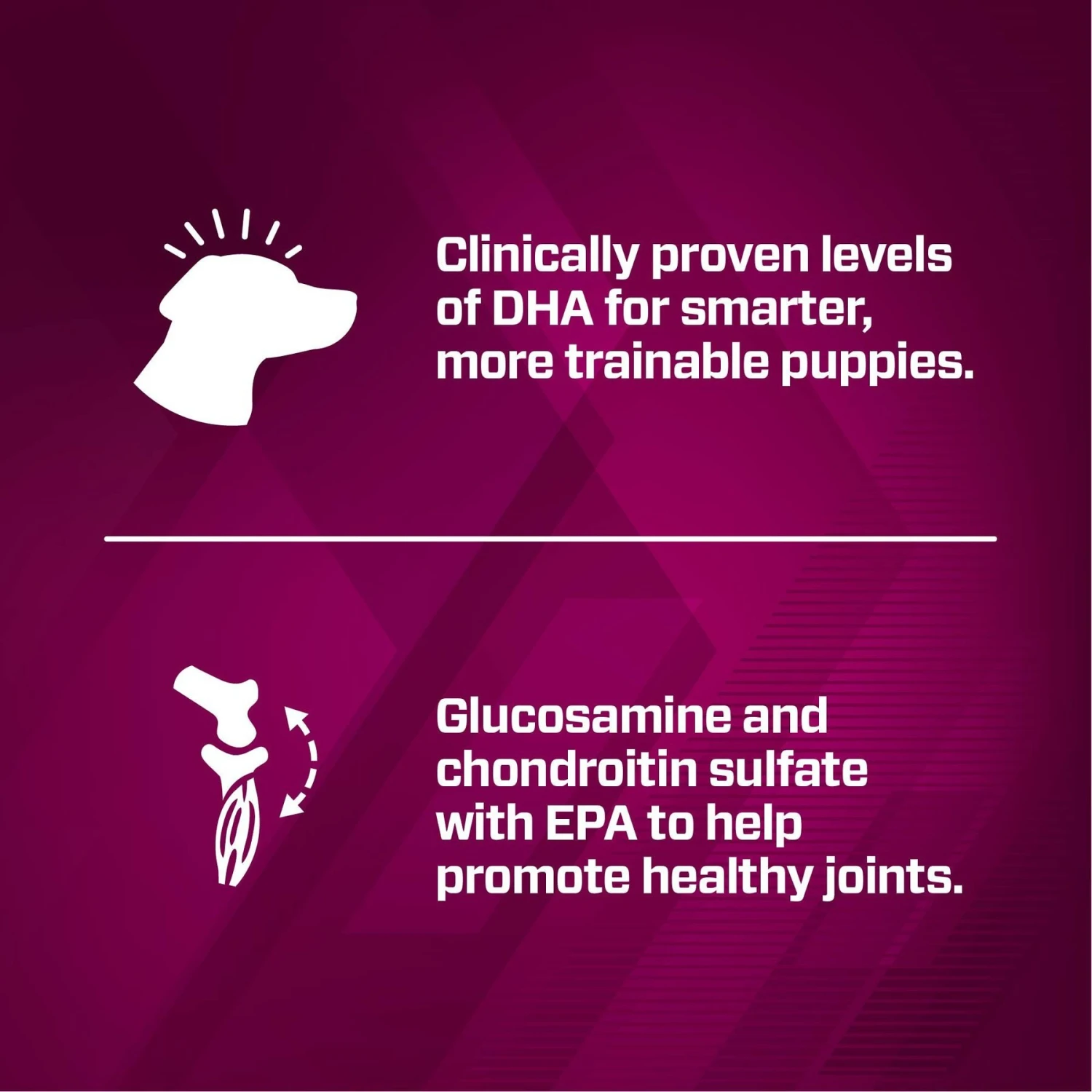 Eukanuba Premium Performance Pro Puppy Dry Dog Food 7 Eukanuba Premium Performance Pro Puppy Dry Dog Food - Image 5