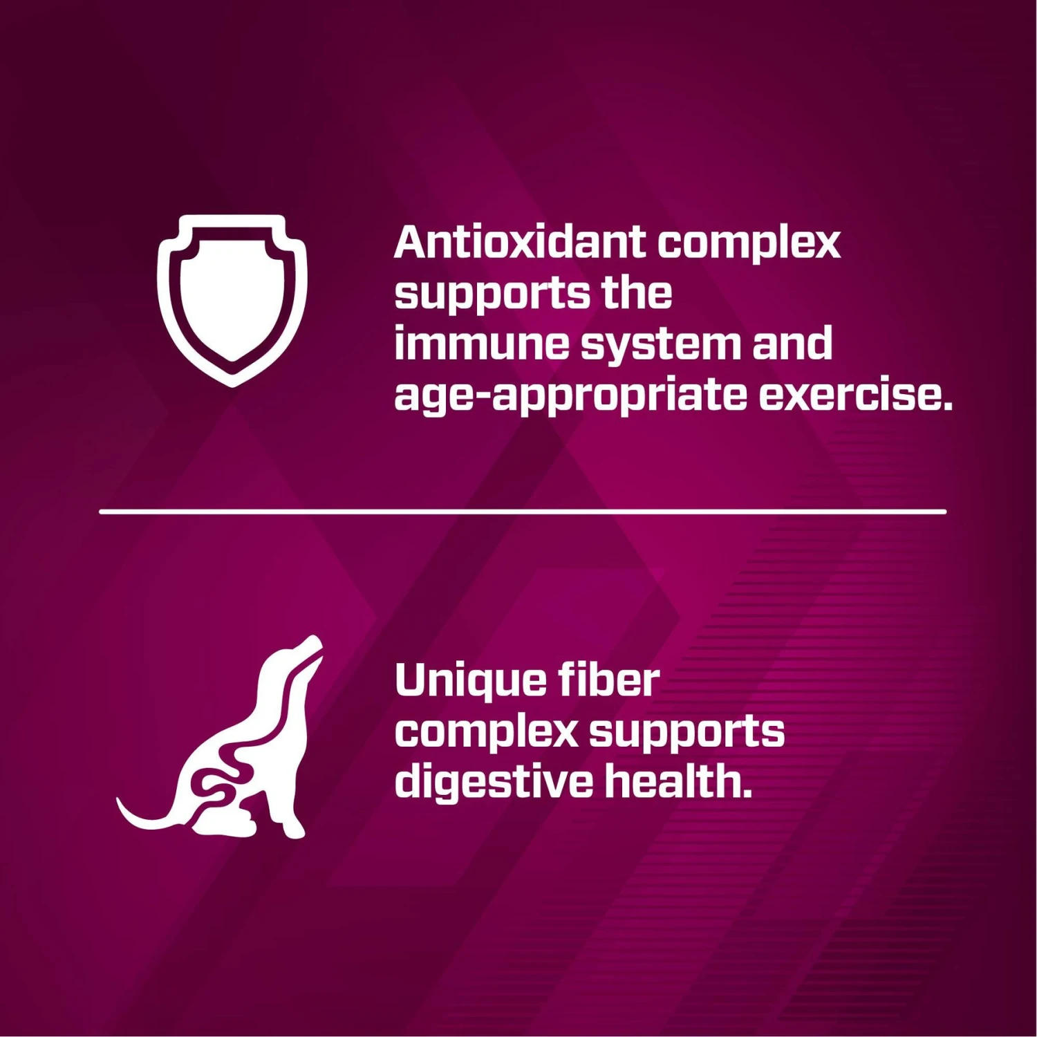 Eukanuba Premium Performance Pro Puppy Dry Dog Food 8 Eukanuba Premium Performance Pro Puppy Dry Dog Food - Image 6