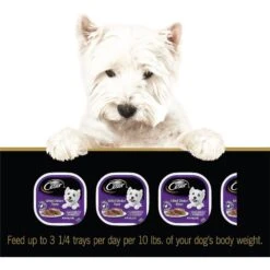 Cesar Classic Loaf In Sauce Grilled Chicken Flavor Grain-Free Small Breed Adult Wet Dog Food Trays -Cozy Paws 367198 PT6. AC SS1800 V1644373315