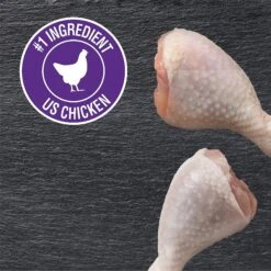 Cesar Classic Loaf In Sauce Grilled Chicken Flavor Grain-Free Small Breed Adult Wet Dog Food Trays -Cozy Paws 367198 PT7. AC SS1800 V1644368506