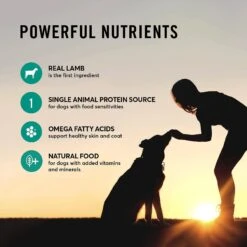 American Journey Limited Ingredient Diet Lamb & Sweet Potato Recipe Grain-Free Canned Dog Food -Cozy Paws 367245 PT6. AC SS1800 V1644382387