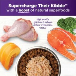 Wellness Bowl Boosters Simply Shreds Chicken, Beef & Carrots Natural Grain-Free Wet Dog Food Mixer Or Topper, 2.8-oz Pouch, Case Of 12 & Wellness Bowl Boosters Simply Shreds Chicken, Salmon & Pumpkin Natural Grain-Free Wet Dog Food Mixer Or Topper, 2.8-oz Pouch, Case Of 12 -Cozy Paws 367552 PT6. AC SS1800 V1674053875