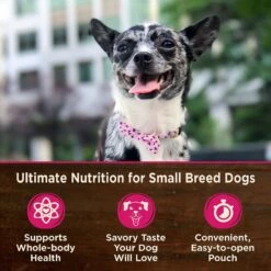 Wellness CORE Mini Meals Chicken & Turkey, Chicken & Lamb Shredded Variety Pack Natural Wet Dog Food Pouches & Wellness CORE Mini Meals Beef & Chicken, Chicken Pate Variety Pack Dog Food Pouches -Cozy Paws 367561 PT7. AC SS1800 V1644449182
