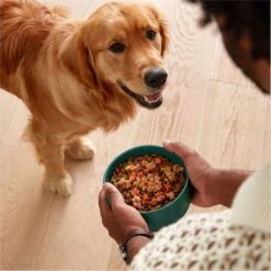 Jinx Chicken, Sweet Potato & Carrot ALS Kibble Dog Dry Food -Cozy Paws 367803 PT3. AC SS1800 V1645489050