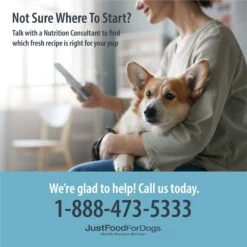 JustFoodForDogs Chicken & White Rice Recipe Frozen Human-Grade Fresh Dog Food -Cozy Paws 368085 PT3. AC SS1800 V1701882858