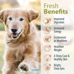 JustFoodForDogs Beef & Russet Potato Recipe Frozen Human-Grade Fresh Dog Food -Cozy Paws 368089 PT3. AC SS1800 V1696967271