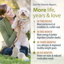 JustFoodForDogs Beef & Russet Potato Recipe Frozen Human-Grade Fresh Dog Food -Cozy Paws 368089 PT4. AC SS1800 V1696967269