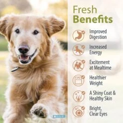 JustFoodForDogs Venison & Squash Recipe Frozen Human-Grade Fresh Dog Food -Cozy Paws 368105 PT3. AC SS1800 V1696967216