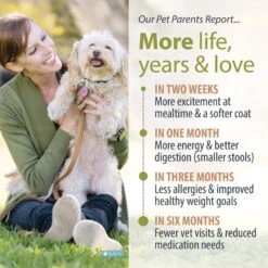 JustFoodForDogs Venison & Squash Recipe Frozen Human-Grade Fresh Dog Food -Cozy Paws 368105 PT4. AC SS1800 V1696967270