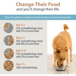 JustFoodForDogs DoItYourself Turkey & Whole Wheat Macaroni Recipe Fresh Dog Food Recipe & Nutrient Blend -Cozy Paws 368155 PT8. AC SS1800 V1666385901