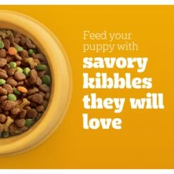 Pedigree Puppy Growth & Protection Chicken & Vegetable Flavor Dry Dog Food -Cozy Paws 368360 PT3. AC SS1800 V1668027274