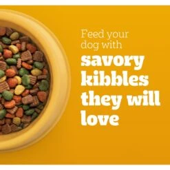 Pedigree High Protein Chicken & Turkey Flavor Adult Dry Dog Food -Cozy Paws 368365 PT3. AC SS1800 V1668025396