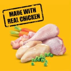 Pedigree High Protein Chicken & Turkey Flavor Adult Dry Dog Food -Cozy Paws 368365 PT4. AC SS1800 V1668026554