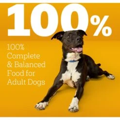 Pedigree High Protein Chicken & Turkey Flavor Adult Dry Dog Food -Cozy Paws 368365 PT8. AC SS1800 V1668026299