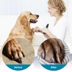 Casfuy LED Light Electric Dog & Cat Nail Grinder -Cozy Paws 369111 PT5. AC SS1800 V1657657430