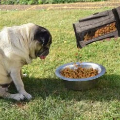 Pet Parade Pooch Pal Dog Feeder, Gray -Cozy Paws 369419 PT3. AC SS1800 V1648500403