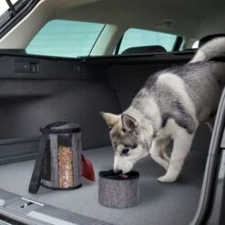 Pet Parade Pooch Pal Dog Feeder, Gray -Cozy Paws 369419 PT4. AC SS1800 V1648516311