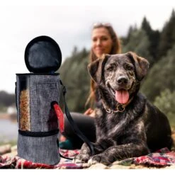 Pet Parade Pooch Pal Dog Feeder, Gray -Cozy Paws 369419 PT5. AC SS1800 V1648507309