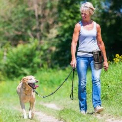 Pet Parade Pooch Pal Dog Feeder, Gray -Cozy Paws 369419 PT6. AC SS1800 V1648515121