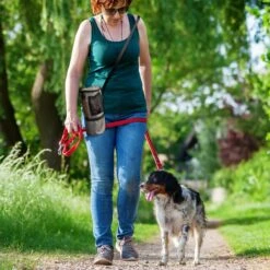 Pet Parade Pooch Pal Dog Feeder, Gray -Cozy Paws 369419 PT7. AC SS1800 V1648505834