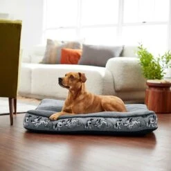 Disney Mickey Mouse Bolster Cat & Dog Bed & Disney Pluto Pillow Cat & Dog Bed -Cozy Paws 370378 PT8. AC SS1800 V1645808515