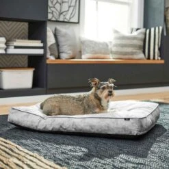 Disney Mickey Mouse Pillow Cat & Dog Bed & Disney Mickey Mouse Bolster Cat & Dog Bed -Cozy Paws 370380 PT4. AC SS1800 V1645807915