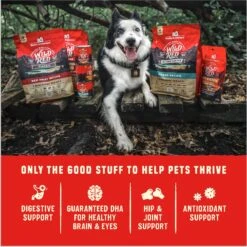 Stella & Chewy's Puppy Prairie Recipe Wild Red Raw Coated High Protein Wholesome Grains Dry Dog Food -Cozy Paws 370802 PT8. AC SS1800 V1667518645