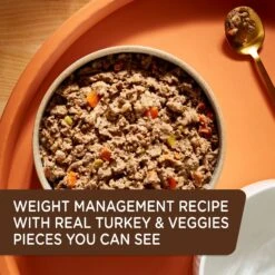 Rachael Ray Nutrish Weight Management Real Turkey & Pumpkin Wet Dog Food, 13-oz Can, Case Of 12 -Cozy Paws 373435 PT4. AC SS1800 V1648288590