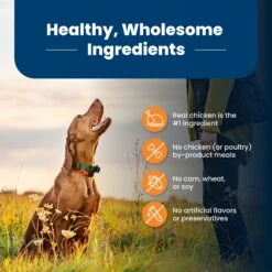 Blue Buffalo Life Protection Formula Large Breed Adult Chicken & Brown Rice Recipe Dry Dog Food -Cozy Paws 46882 PT5. AC SS1800 V1701932656