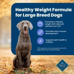 Blue Buffalo Life Protection Formula Large Breed Healthy Weight Adult Chicken & Brown Rice Recipe Dry Dog Food -Cozy Paws 46892 PT3. AC SS1800 V1701982219