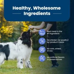 Blue Buffalo Life Protection Formula Large Breed Healthy Weight Adult Chicken & Brown Rice Recipe Dry Dog Food -Cozy Paws 46892 PT5. AC SS1800 V1701982218
