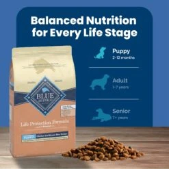 Blue Buffalo Life Protection Formula Large Breed Puppy Chicken & Brown Rice Recipe Dry Dog Food -Cozy Paws 46904 PT6. AC SS1800 V1689357643