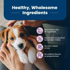 Blue Buffalo Life Protection Formula Small Breed Puppy Chicken & Oatmeal Recipe Dry Dog Food -Cozy Paws 46906 PT5. AC SS1800 V1636146121