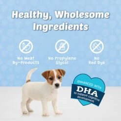 Blue Buffalo Blue Bits Tasty Chicken Recipe Soft-Moist Training Dog Treats -Cozy Paws 46937 PT6. AC SS1800 V1601538958