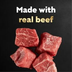 Cesar Filets In Gravy Filet Mignon Flavor Small Breed Adult Wet Dog Food Trays -Cozy Paws 47080 PT3. AC SS1800 V1695656612