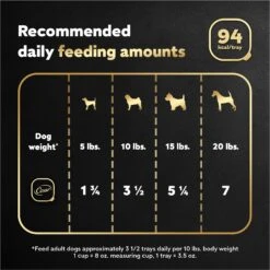 Cesar Filets In Gravy Filet Mignon Flavor Small Breed Adult Wet Dog Food Trays -Cozy Paws 47080 PT6. AC SS1800 V1695752277