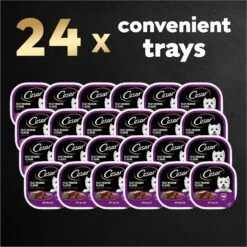 Cesar Classic Loaf In Sauce Filet Mignon Flavor Grain-Free Small Breed Adult Wet Dog Food Trays -Cozy Paws 47083 PT8. AC SS1800 V1695752338