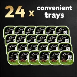 Cesar Classic Loaf In Sauce Top Sirloin Flavor Small Breed Adult Wet Dog Food Trays -Cozy Paws 47087 PT8. AC SS1800 V1695738927