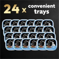 Cesar Puppy Classic Loaf In Sauce Chicken & Beef Recipe Grain-Free Small Breed Wet Dog Food Trays -Cozy Paws 47090 PT8. AC SS1800 V1695674516