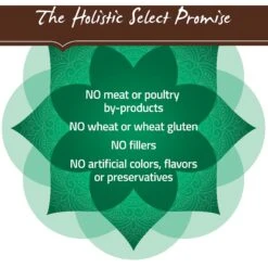 Holistic Select Large & Giant Breed Puppy Health Lamb Meal & Oatmeal Recipe Dry Dog Food -Cozy Paws 47634 PT6. AC SS1800 V1660707237