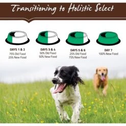 Holistic Select Large & Giant Breed Puppy Health Lamb Meal & Oatmeal Recipe Dry Dog Food -Cozy Paws 47634 PT8. AC SS1800 V1510678994