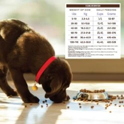 Holistic Select Adult Health Chicken Meal & Brown Rice Recipe Dry Dog Food -Cozy Paws 47645 PT5. AC SS1800 V1660574121