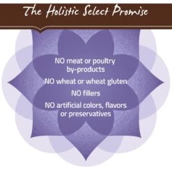 Holistic Select Adult Health Chicken Meal & Brown Rice Recipe Dry Dog Food -Cozy Paws 47645 PT6. AC SS1800 V1660707208