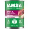 Iams ProActive Health Chunks In Gravy Beef, Rice, Carrots & Green Beans Flavor Adult Wet Dog Food