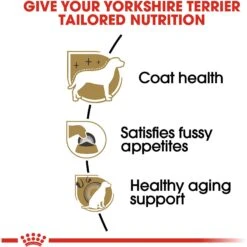 Royal Canin Breed Health Nutrition Yorkshire Terrier Adult Dry Dog Food -Cozy Paws 48685 PT4. AC SS1800 V1695218670