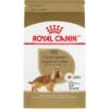 Royal Canin Breed Health Nutrition Cocker Spaniel Adult Dry Dog Food -Cozy Paws 48717 MAIN. AC SS1800 V1695156286