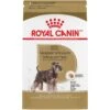 Royal Canin Breed Health Nutrition Miniature Schnauzer Adult Dry Dog Food -Cozy Paws 48719 MAIN. AC SS1800 V1695156225